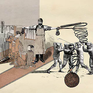 WDGO1901
